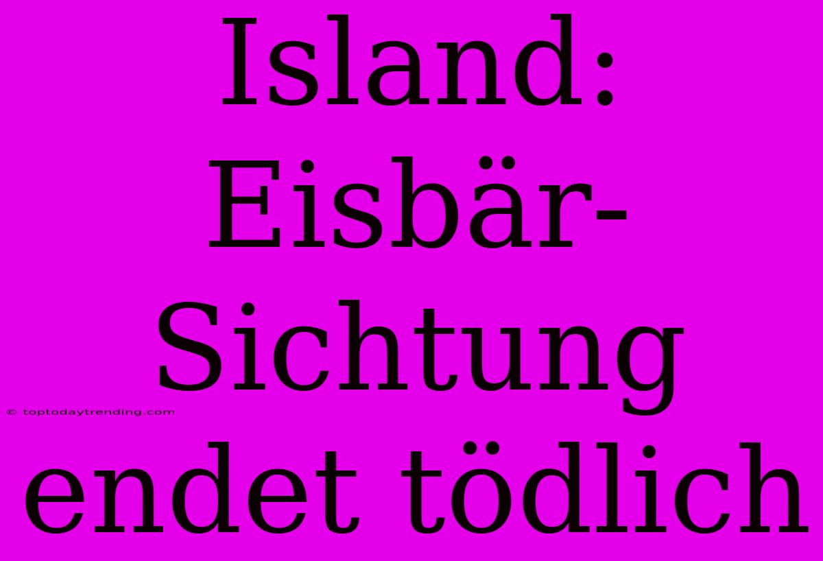 Island: Eisbär-Sichtung Endet Tödlich