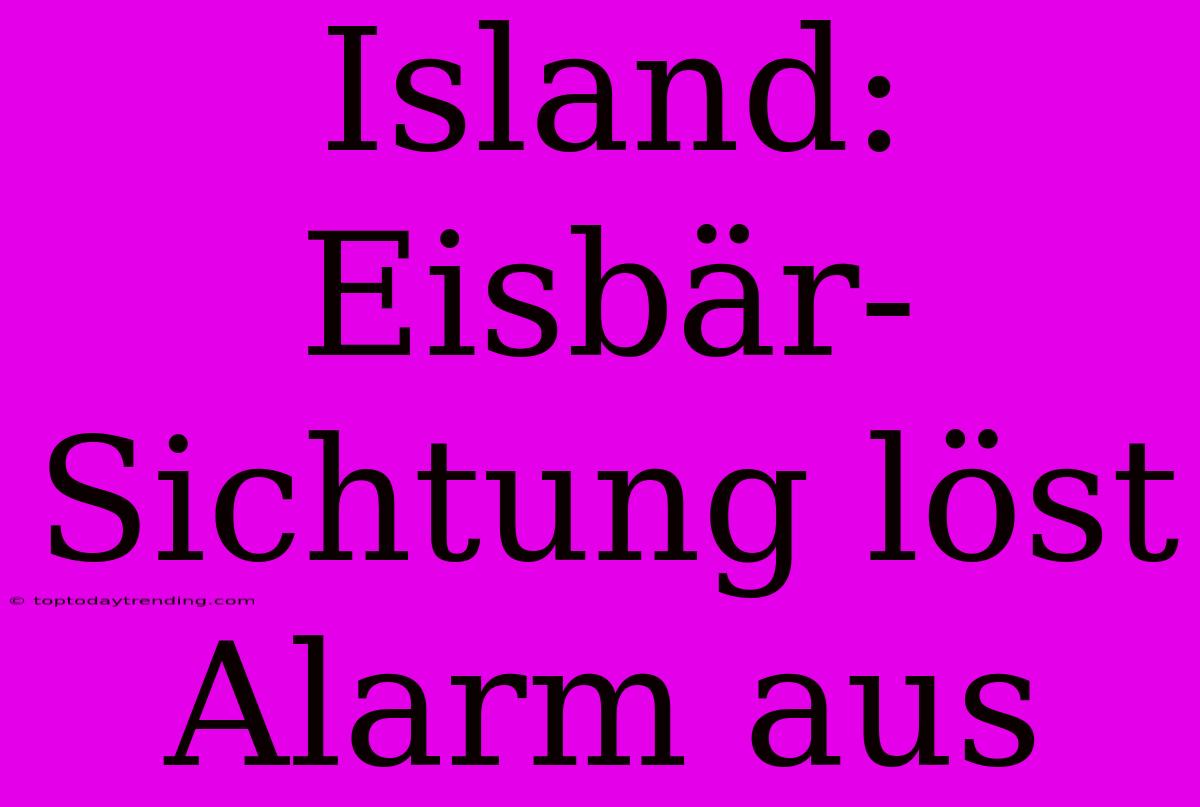 Island: Eisbär-Sichtung Löst Alarm Aus