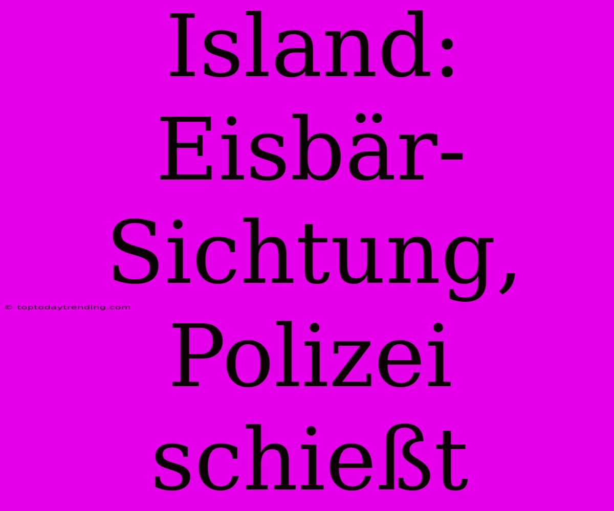 Island: Eisbär-Sichtung, Polizei Schießt