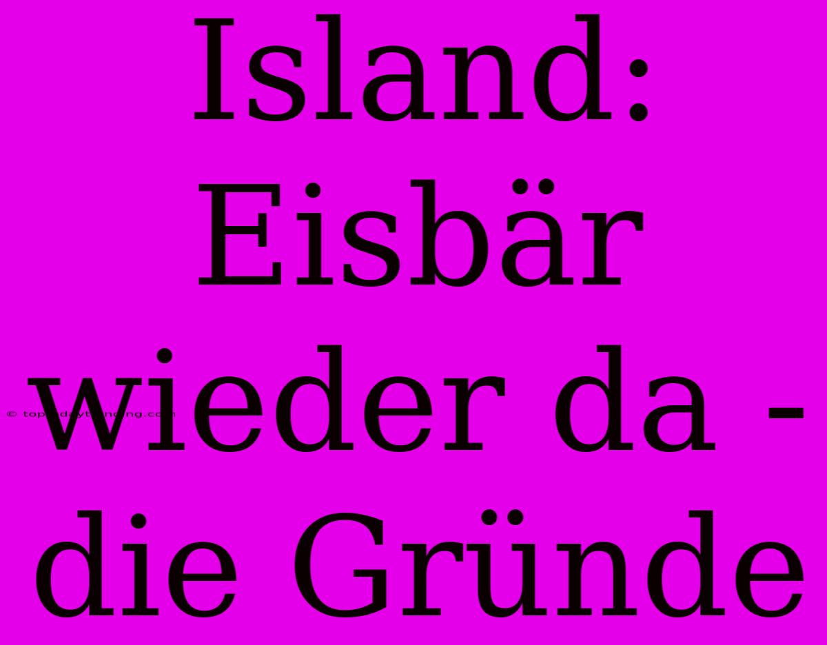 Island: Eisbär Wieder Da - Die Gründe