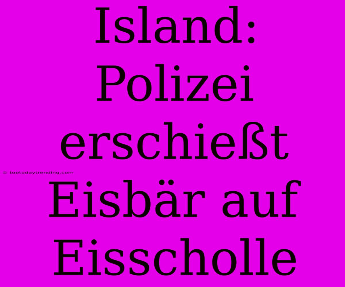 Island: Polizei Erschießt Eisbär Auf Eisscholle