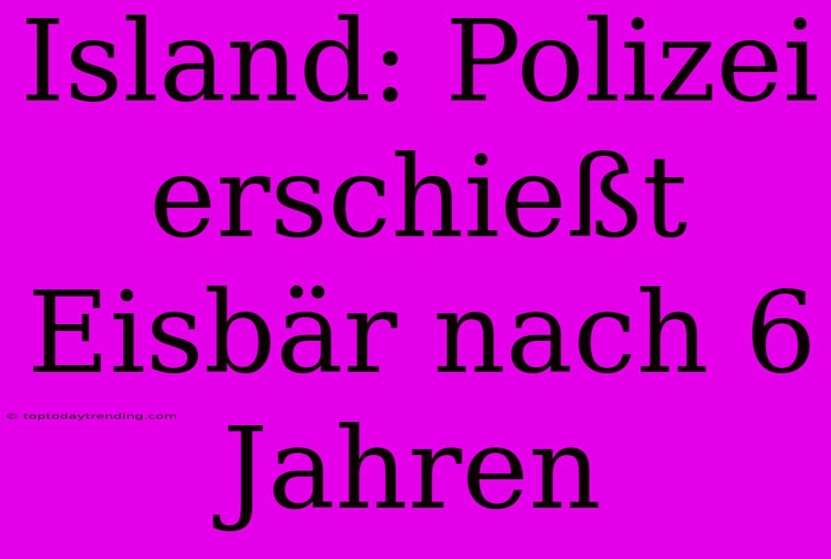 Island: Polizei Erschießt Eisbär Nach 6 Jahren