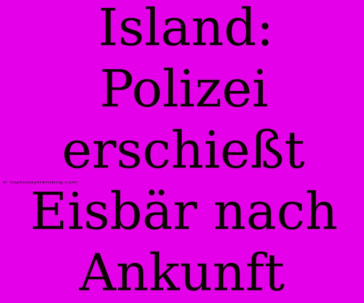 Island: Polizei Erschießt Eisbär Nach Ankunft