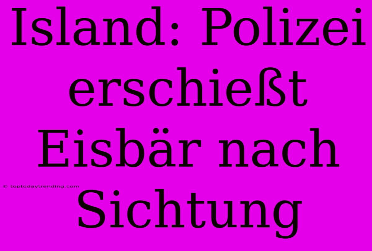 Island: Polizei Erschießt Eisbär Nach Sichtung