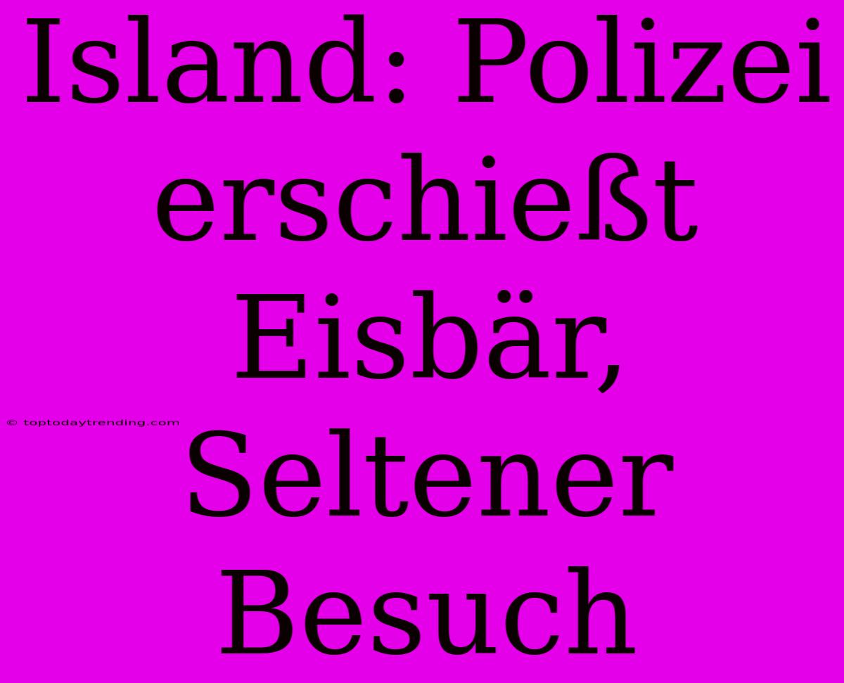 Island: Polizei Erschießt Eisbär, Seltener Besuch