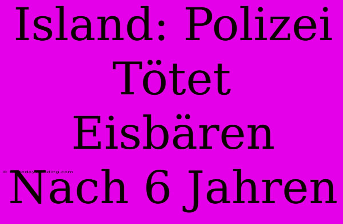 Island: Polizei Tötet Eisbären Nach 6 Jahren