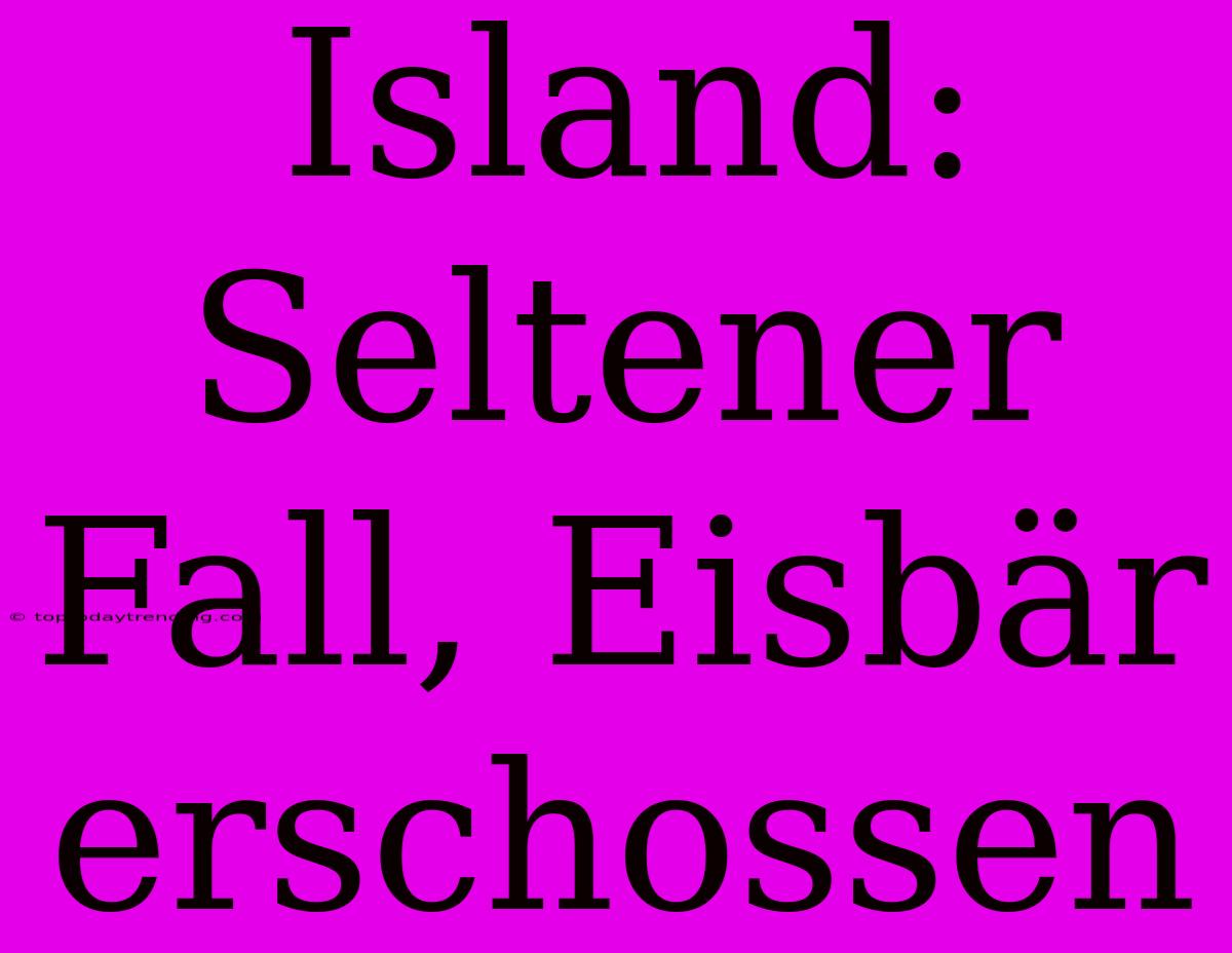 Island: Seltener Fall, Eisbär Erschossen