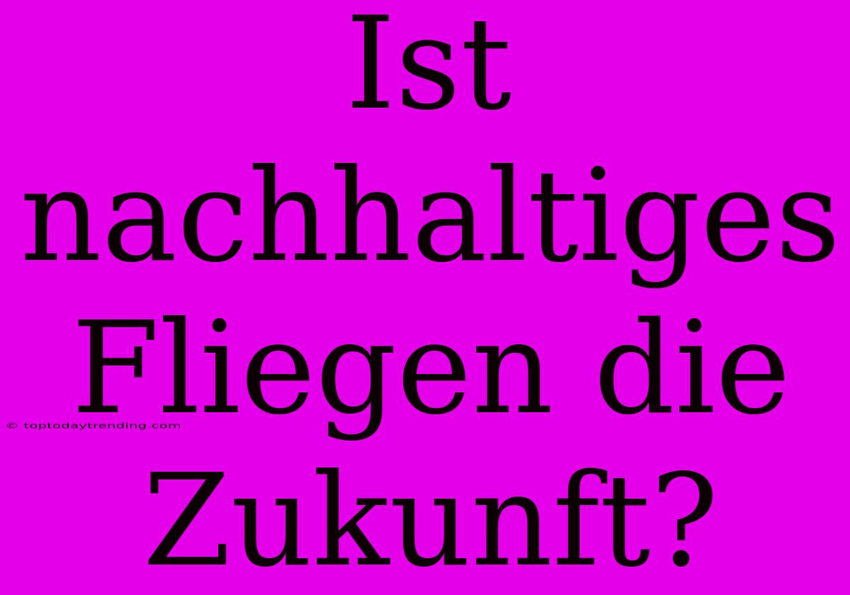 Ist Nachhaltiges Fliegen Die Zukunft?