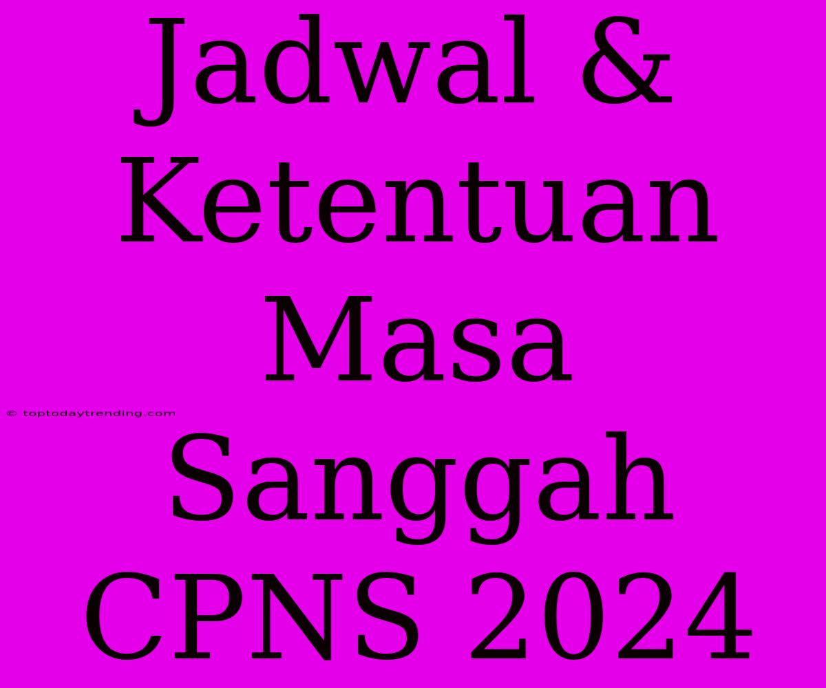 Jadwal & Ketentuan Masa Sanggah CPNS 2024