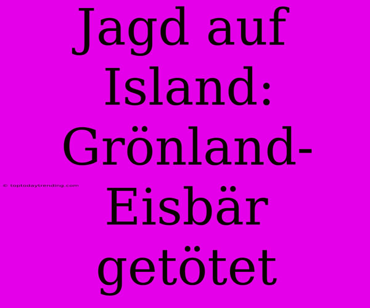 Jagd Auf Island: Grönland-Eisbär Getötet