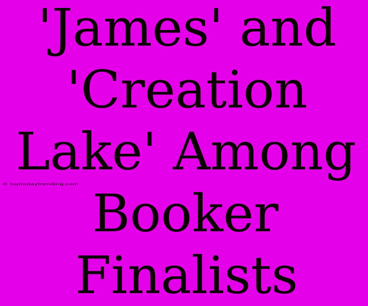 'James' And 'Creation Lake' Among Booker Finalists