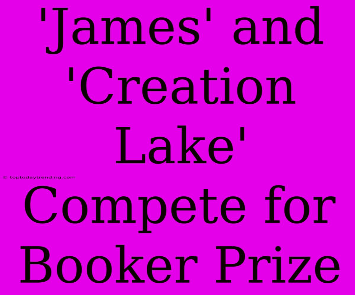 'James' And 'Creation Lake' Compete For Booker Prize