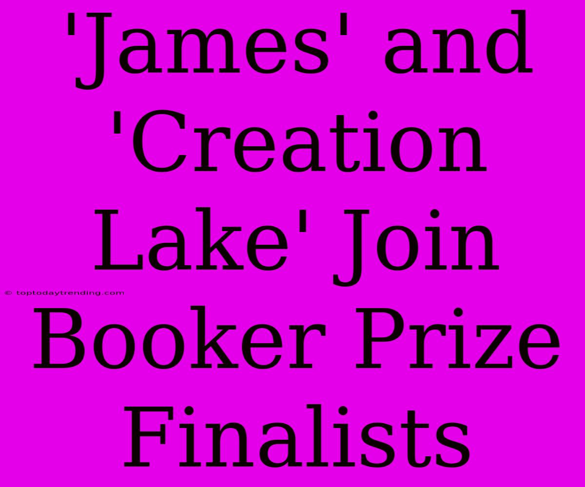 'James' And 'Creation Lake' Join Booker Prize Finalists