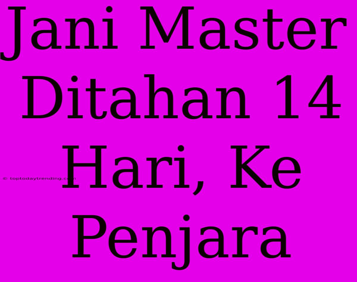 Jani Master Ditahan 14 Hari, Ke Penjara