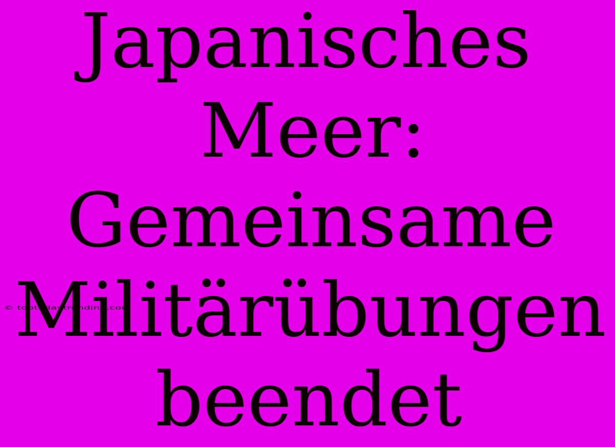 Japanisches Meer: Gemeinsame Militärübungen Beendet