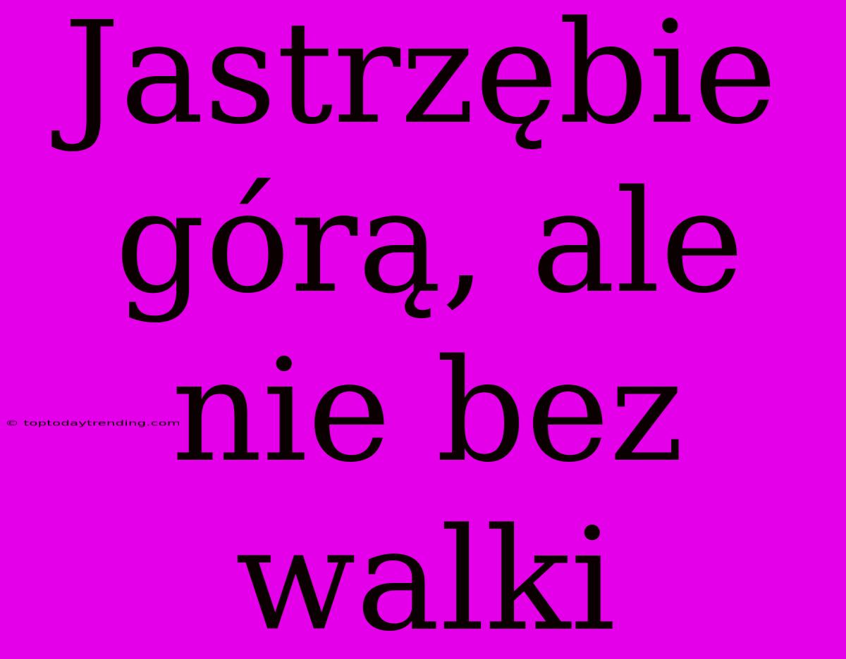 Jastrzębie Górą, Ale Nie Bez Walki