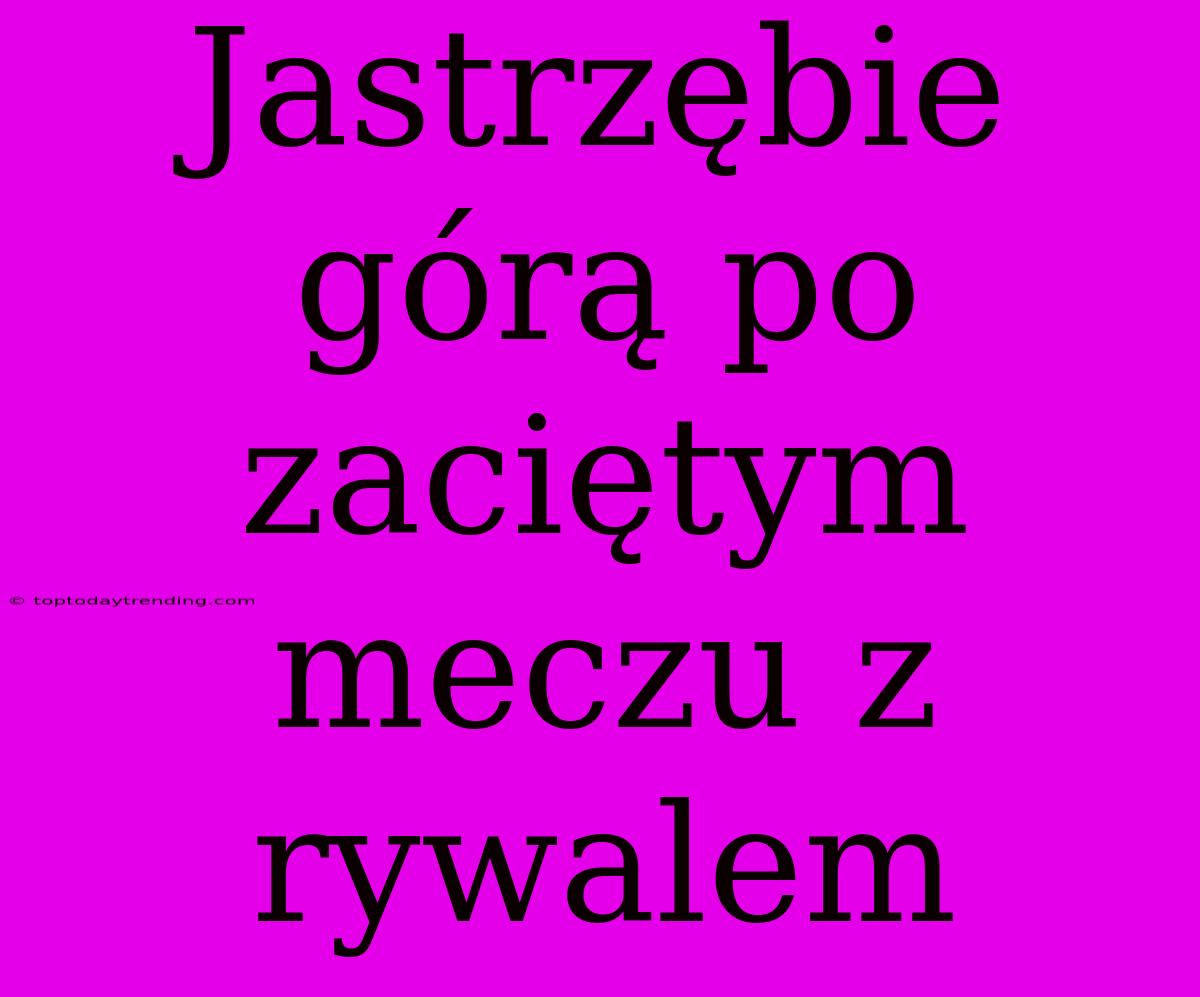 Jastrzębie Górą Po Zaciętym Meczu Z Rywalem