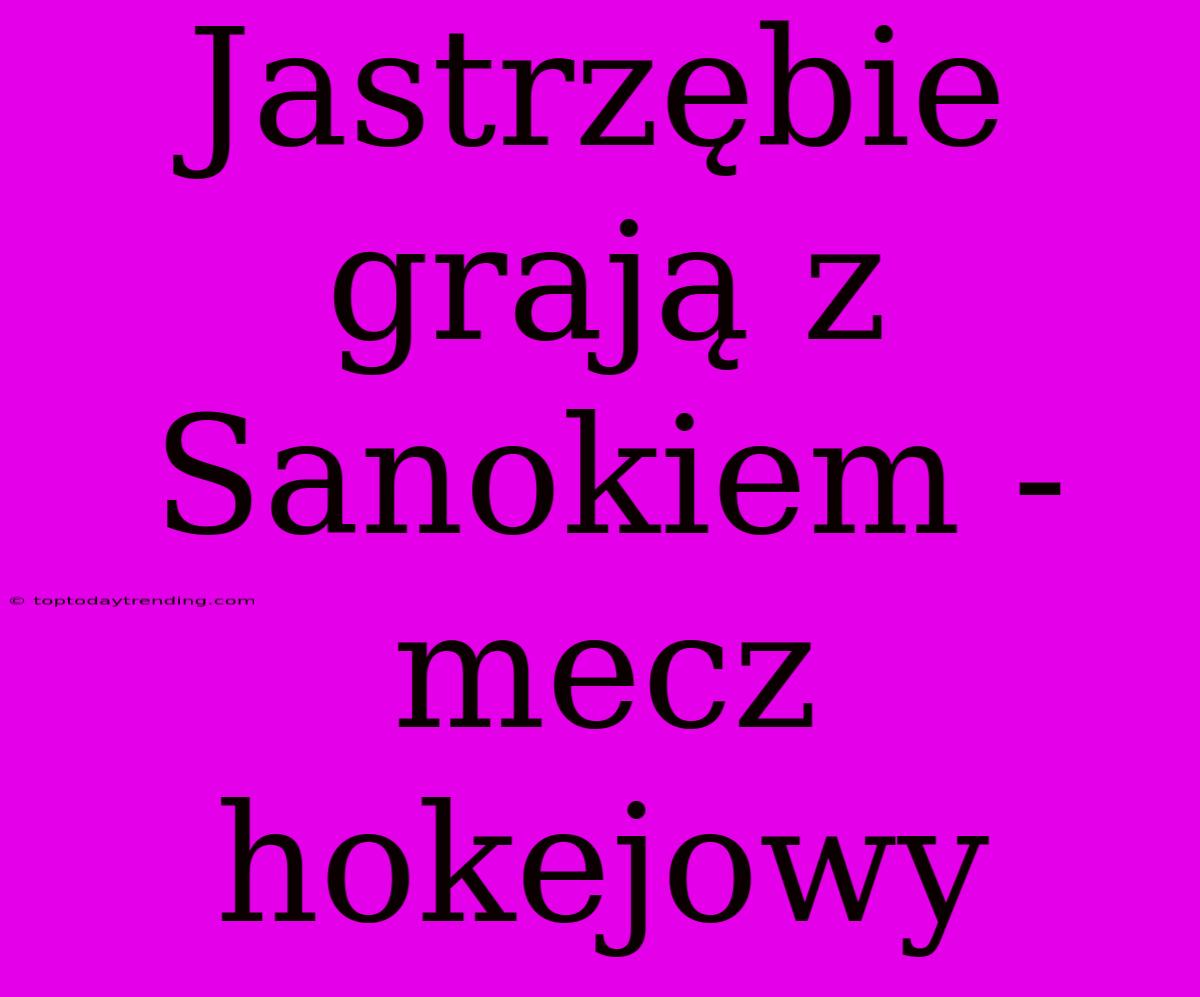 Jastrzębie Grają Z Sanokiem - Mecz Hokejowy