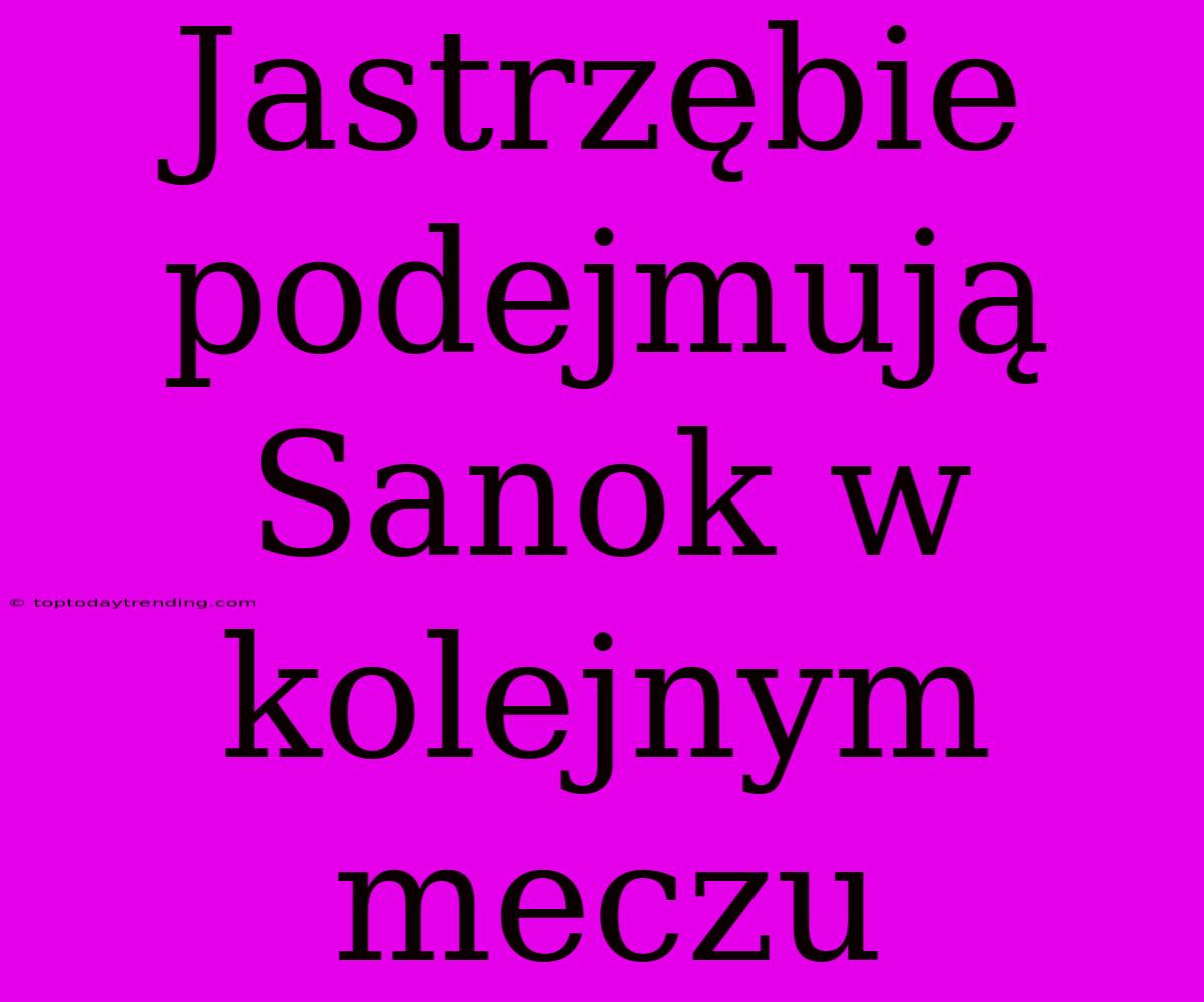 Jastrzębie Podejmują Sanok W Kolejnym Meczu