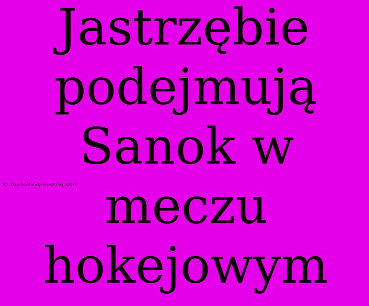 Jastrzębie Podejmują Sanok W Meczu Hokejowym