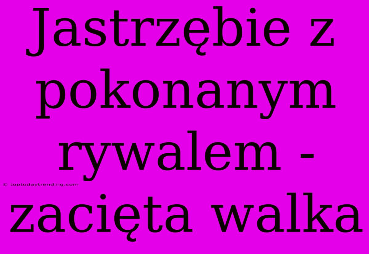 Jastrzębie Z Pokonanym Rywalem - Zacięta Walka