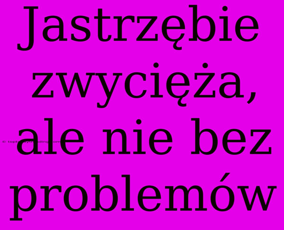 Jastrzębie Zwycięża, Ale Nie Bez Problemów