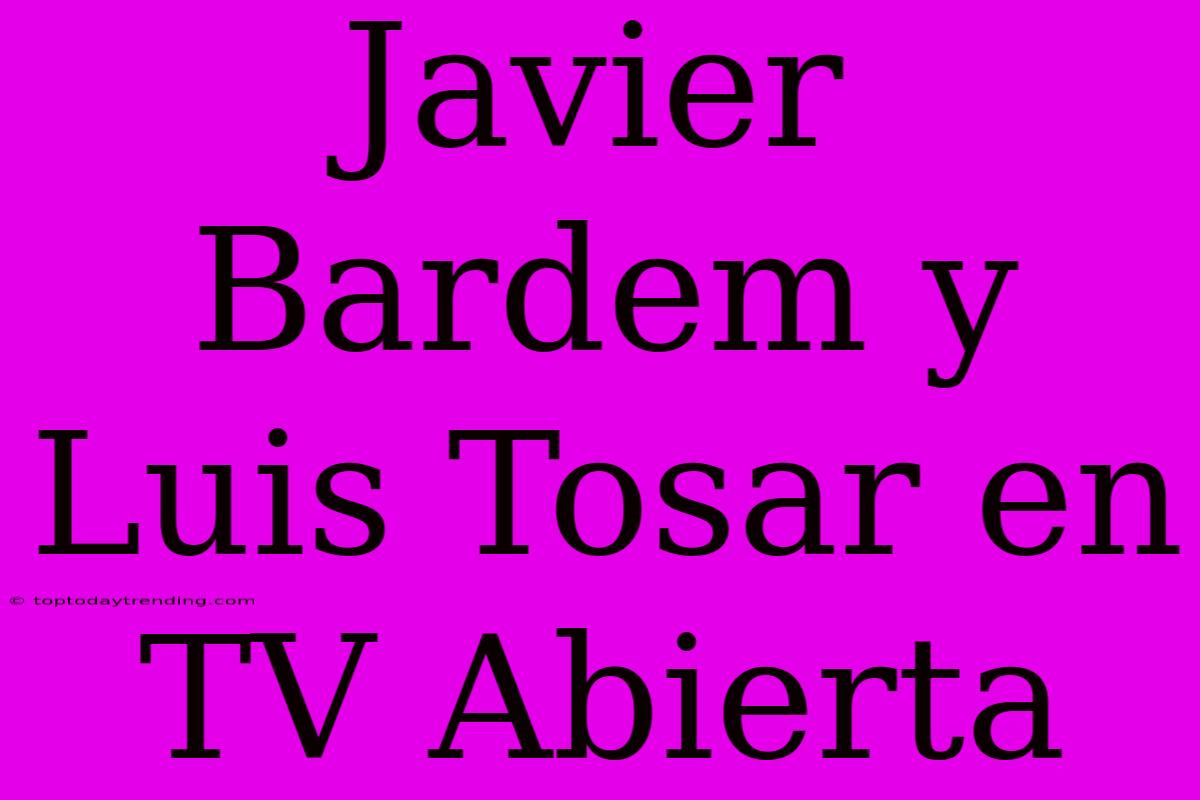 Javier Bardem Y Luis Tosar En TV Abierta