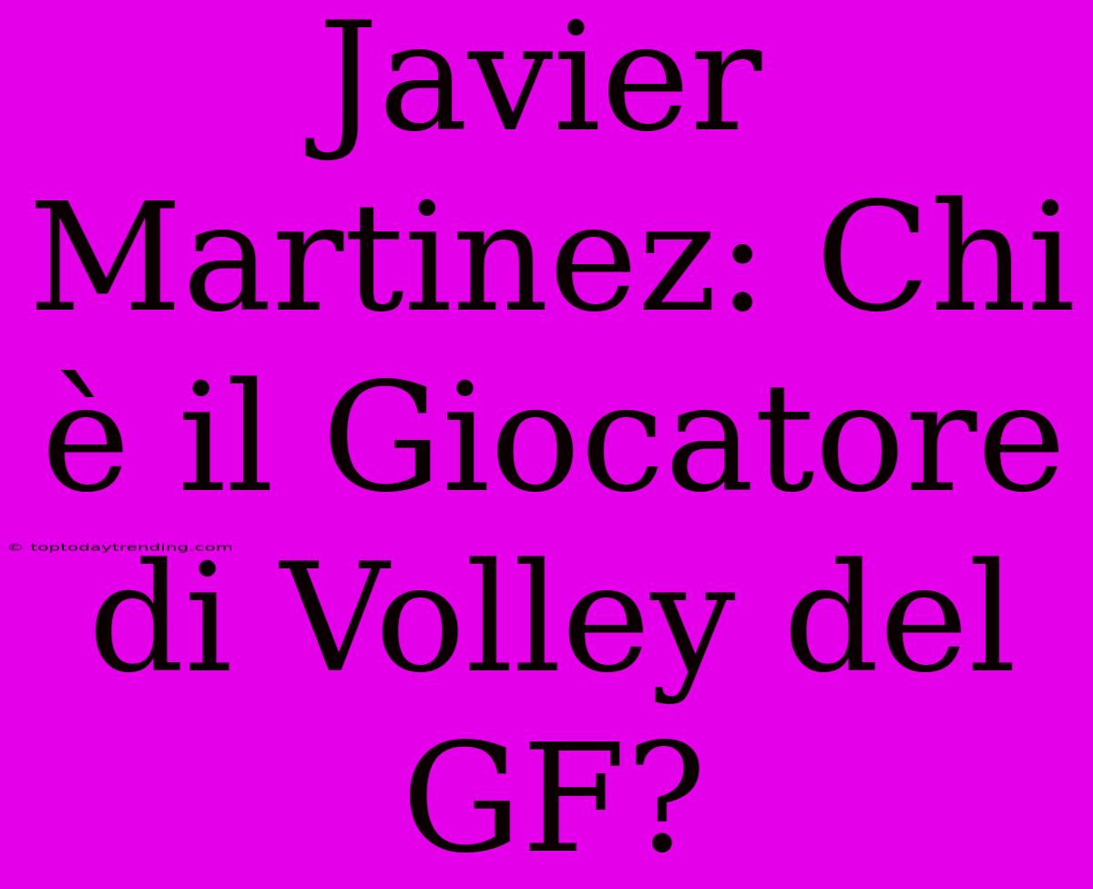 Javier Martinez: Chi È Il Giocatore Di Volley Del GF?