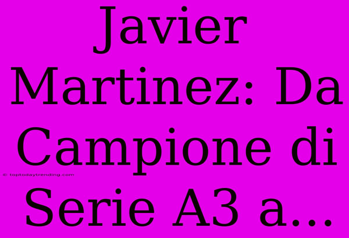 Javier Martinez: Da Campione Di Serie A3 A...