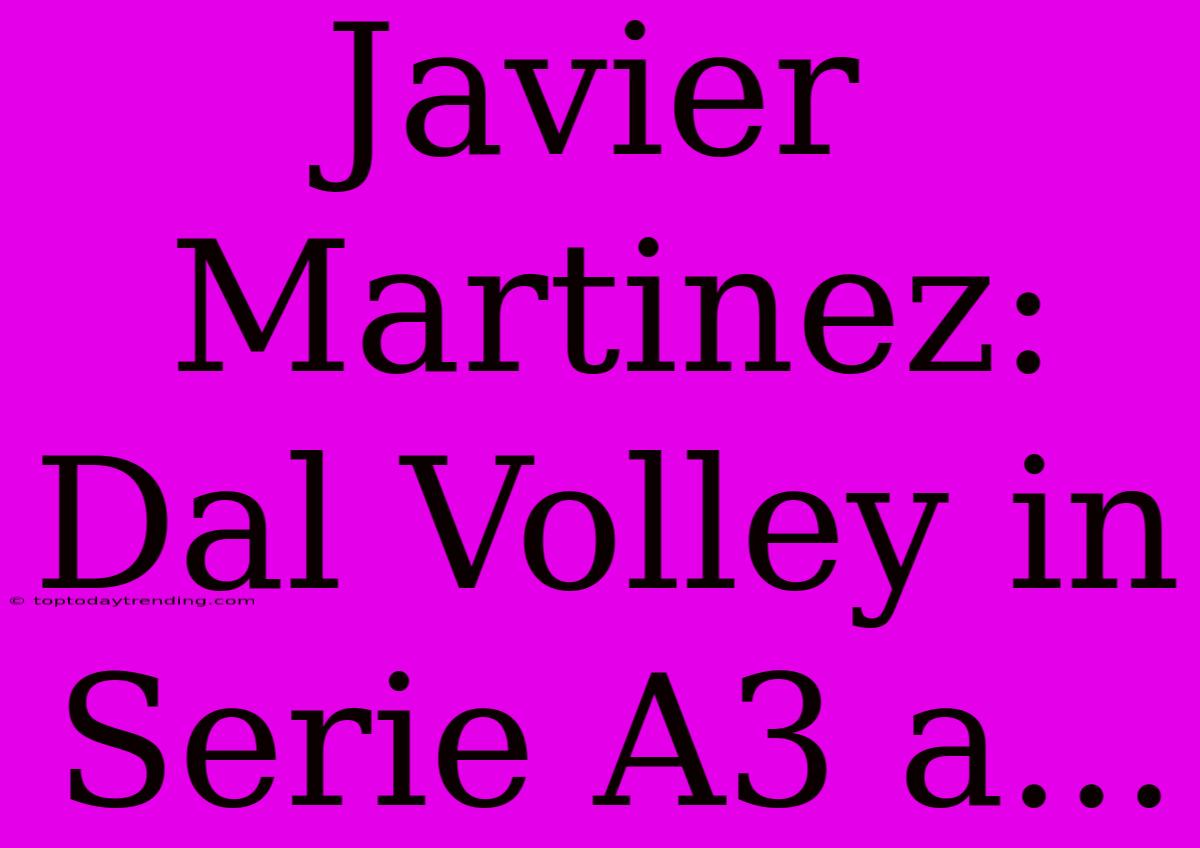 Javier Martinez: Dal Volley In Serie A3 A...