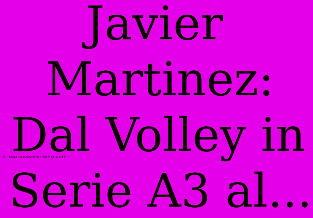 Javier Martinez: Dal Volley In Serie A3 Al...