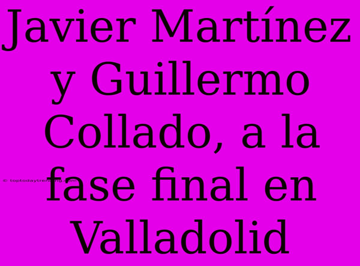 Javier Martínez Y Guillermo Collado, A La Fase Final En Valladolid