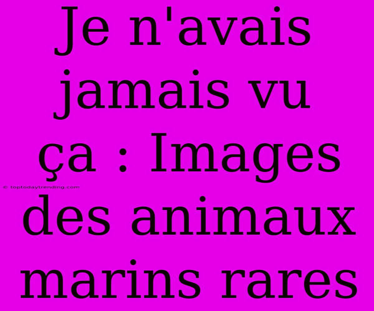 Je N'avais Jamais Vu Ça : Images Des Animaux Marins Rares