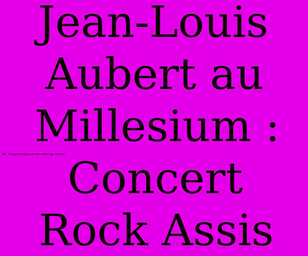 Jean-Louis Aubert Au Millesium : Concert Rock Assis