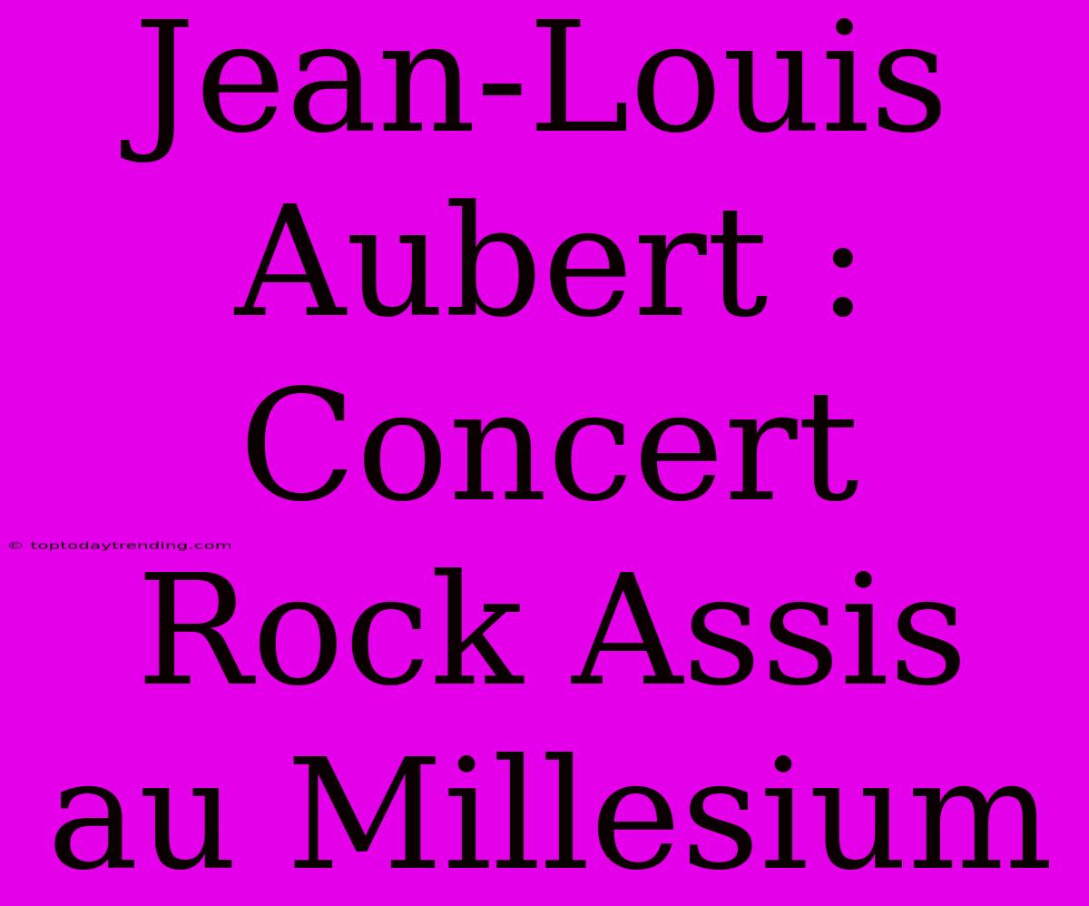 Jean-Louis Aubert : Concert Rock Assis Au Millesium