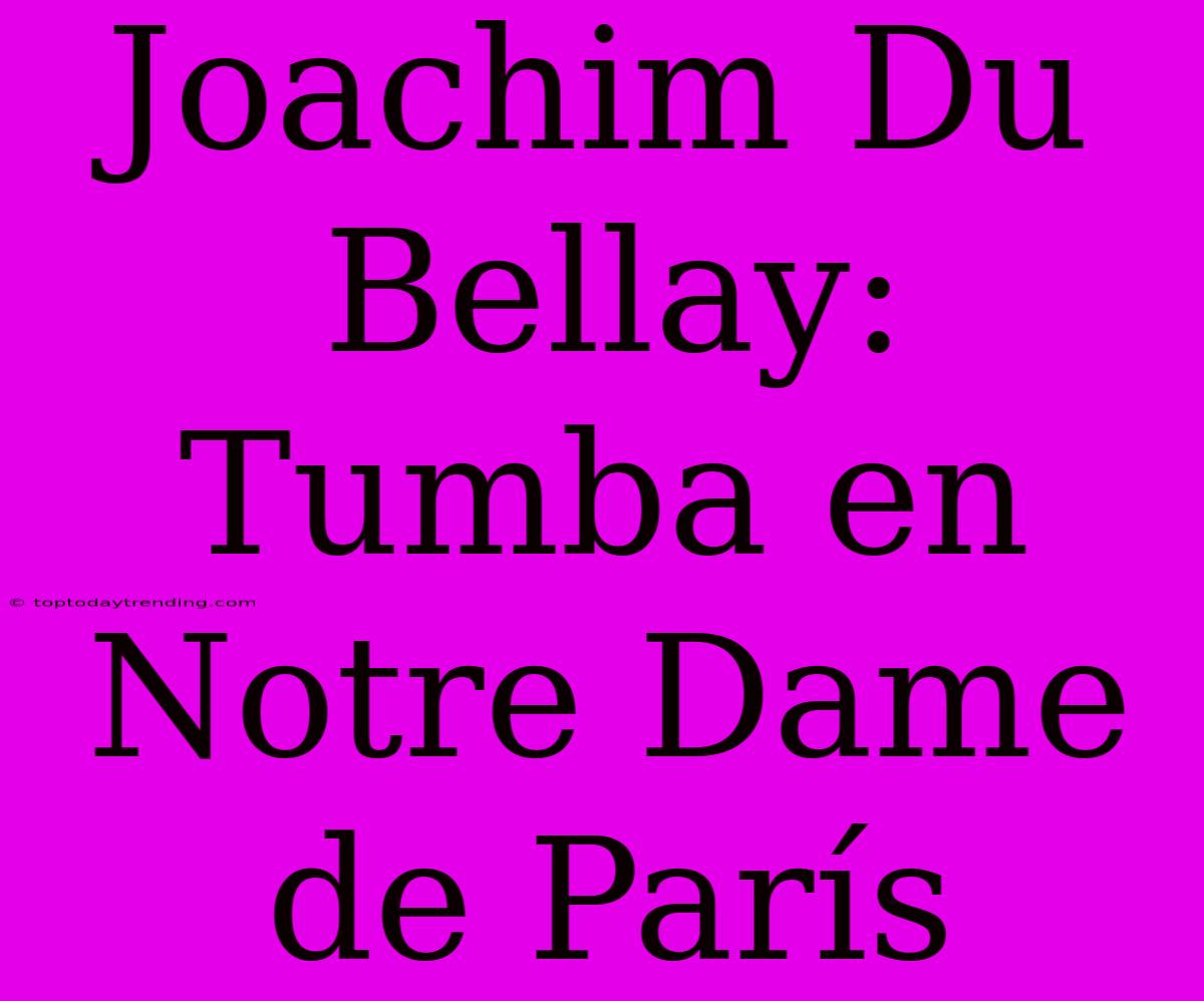 Joachim Du Bellay: Tumba En Notre Dame De París