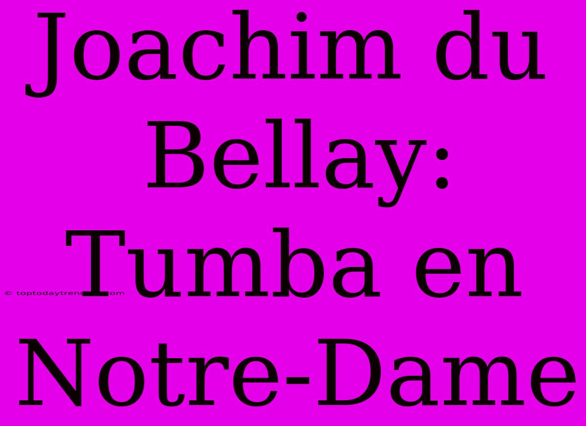 Joachim Du Bellay: Tumba En Notre-Dame