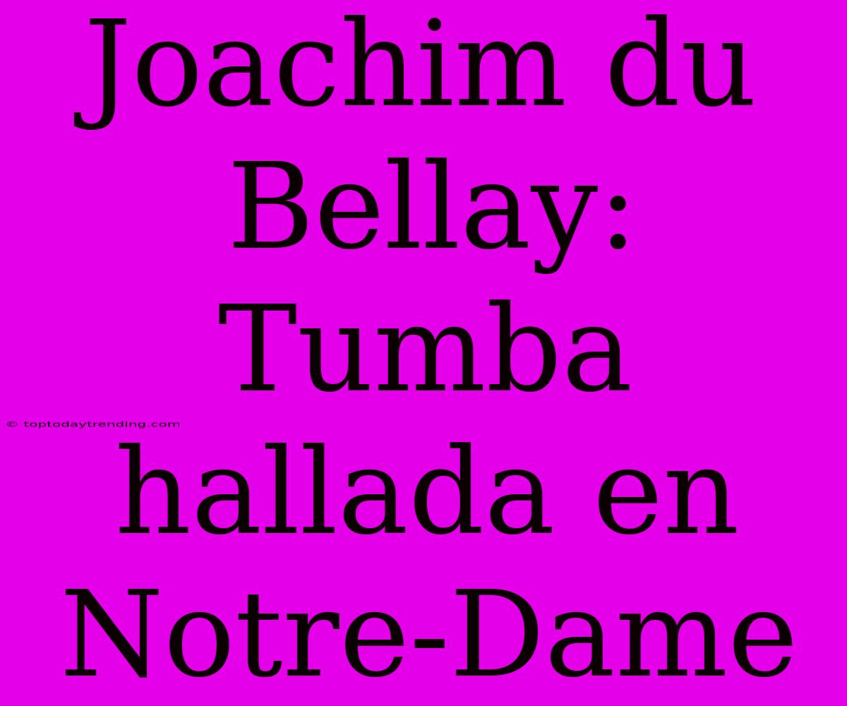 Joachim Du Bellay: Tumba Hallada En Notre-Dame