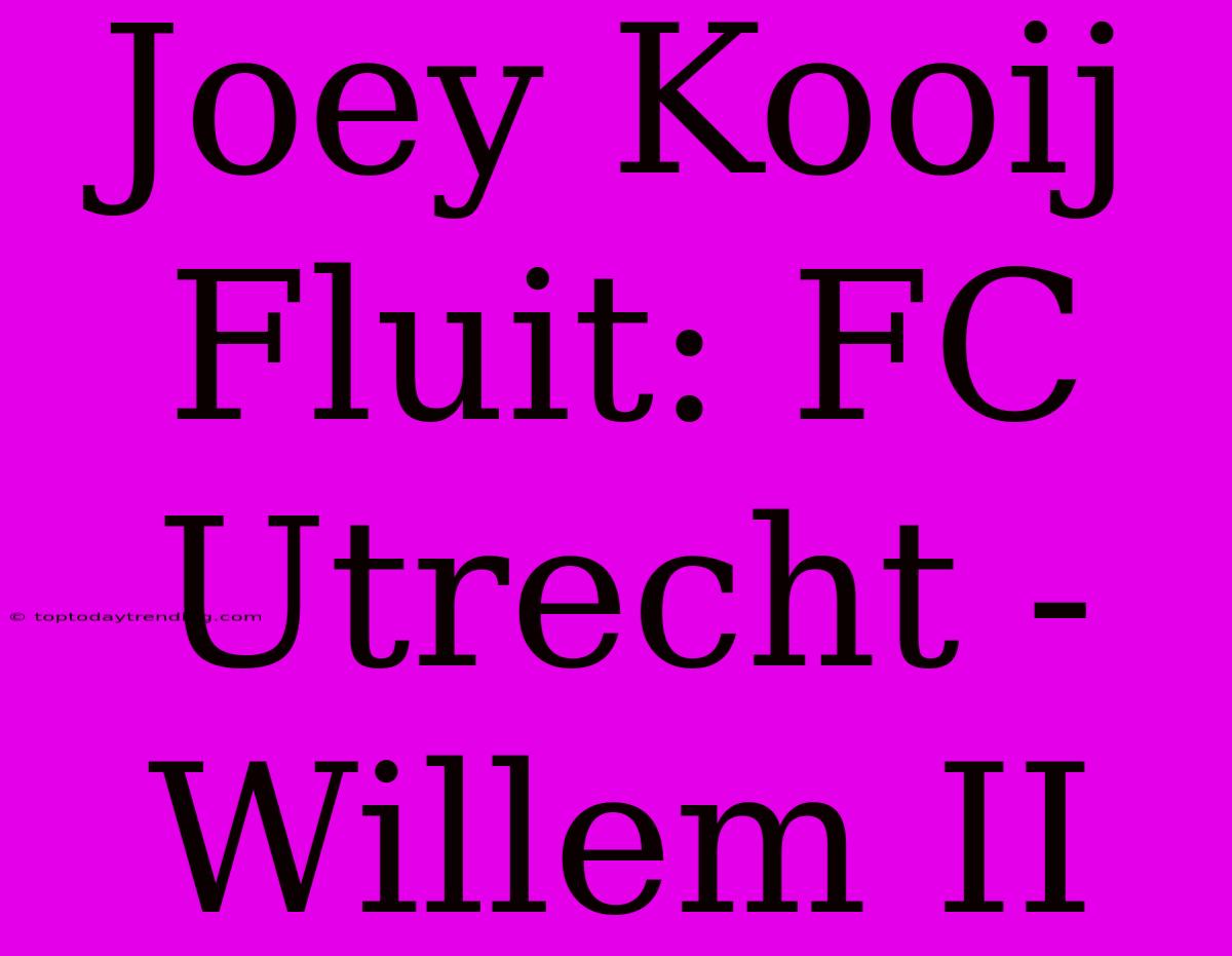 Joey Kooij Fluit: FC Utrecht - Willem II