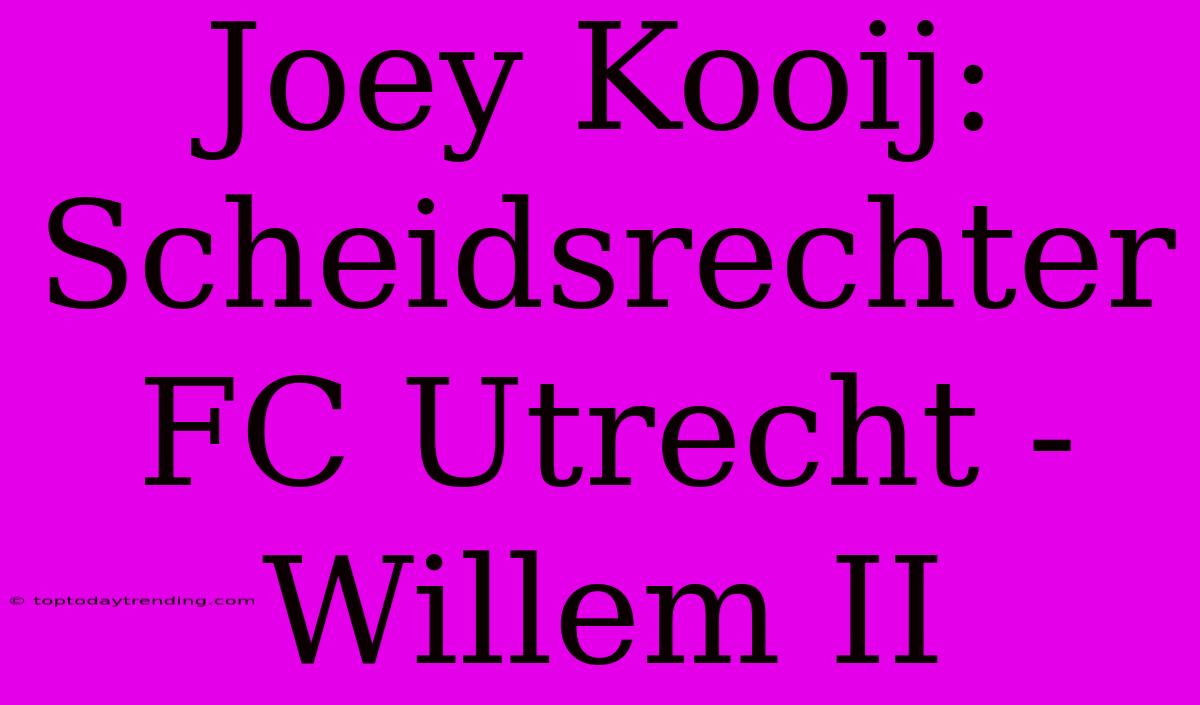 Joey Kooij: Scheidsrechter FC Utrecht - Willem II