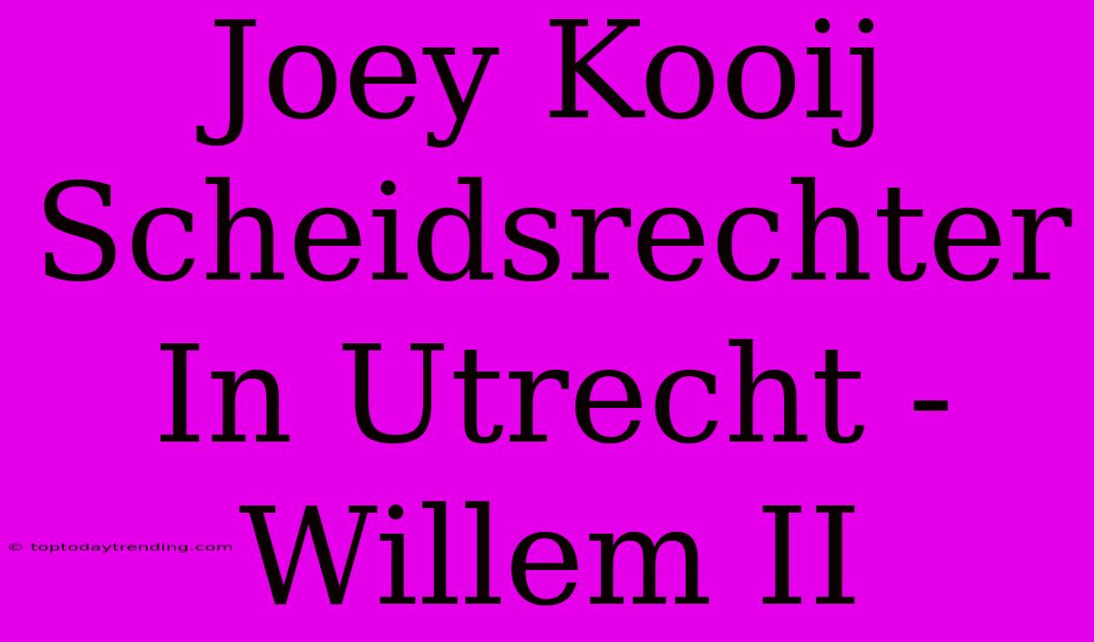 Joey Kooij Scheidsrechter In Utrecht - Willem II