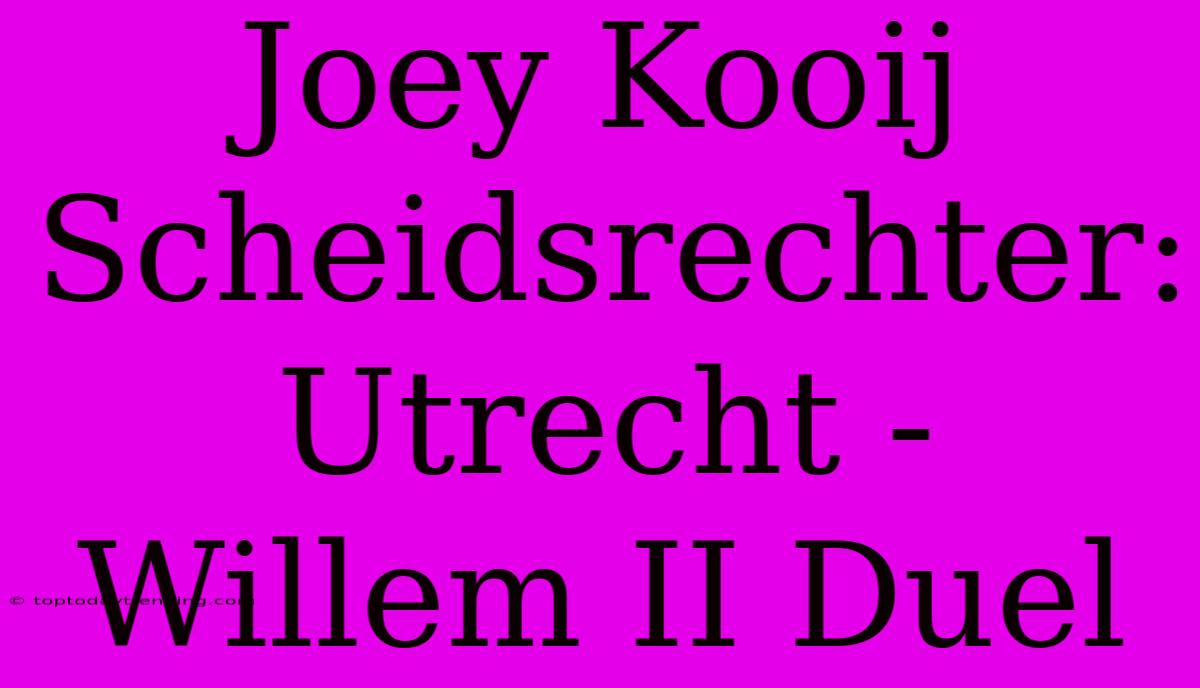 Joey Kooij Scheidsrechter: Utrecht - Willem II Duel