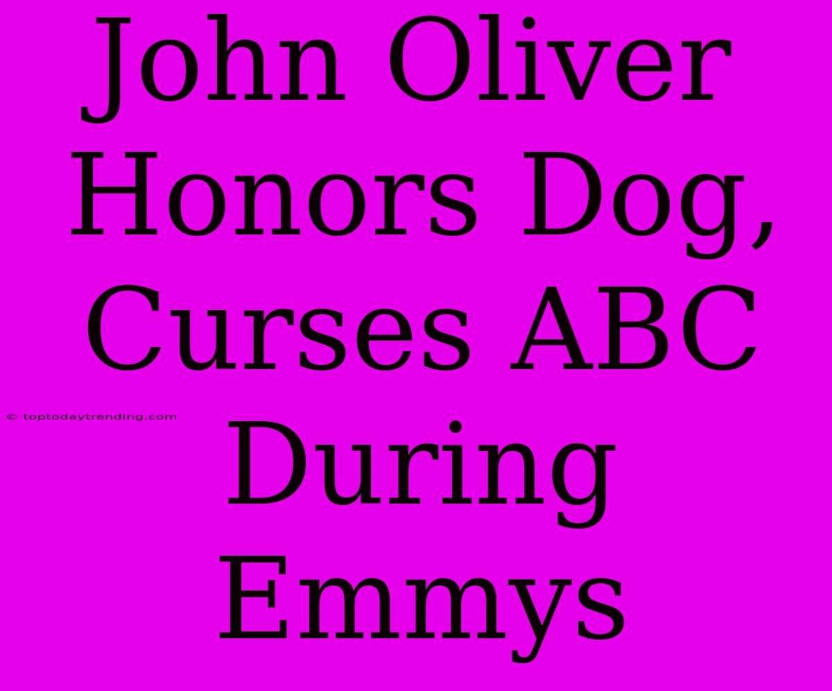 John Oliver Honors Dog, Curses ABC During Emmys