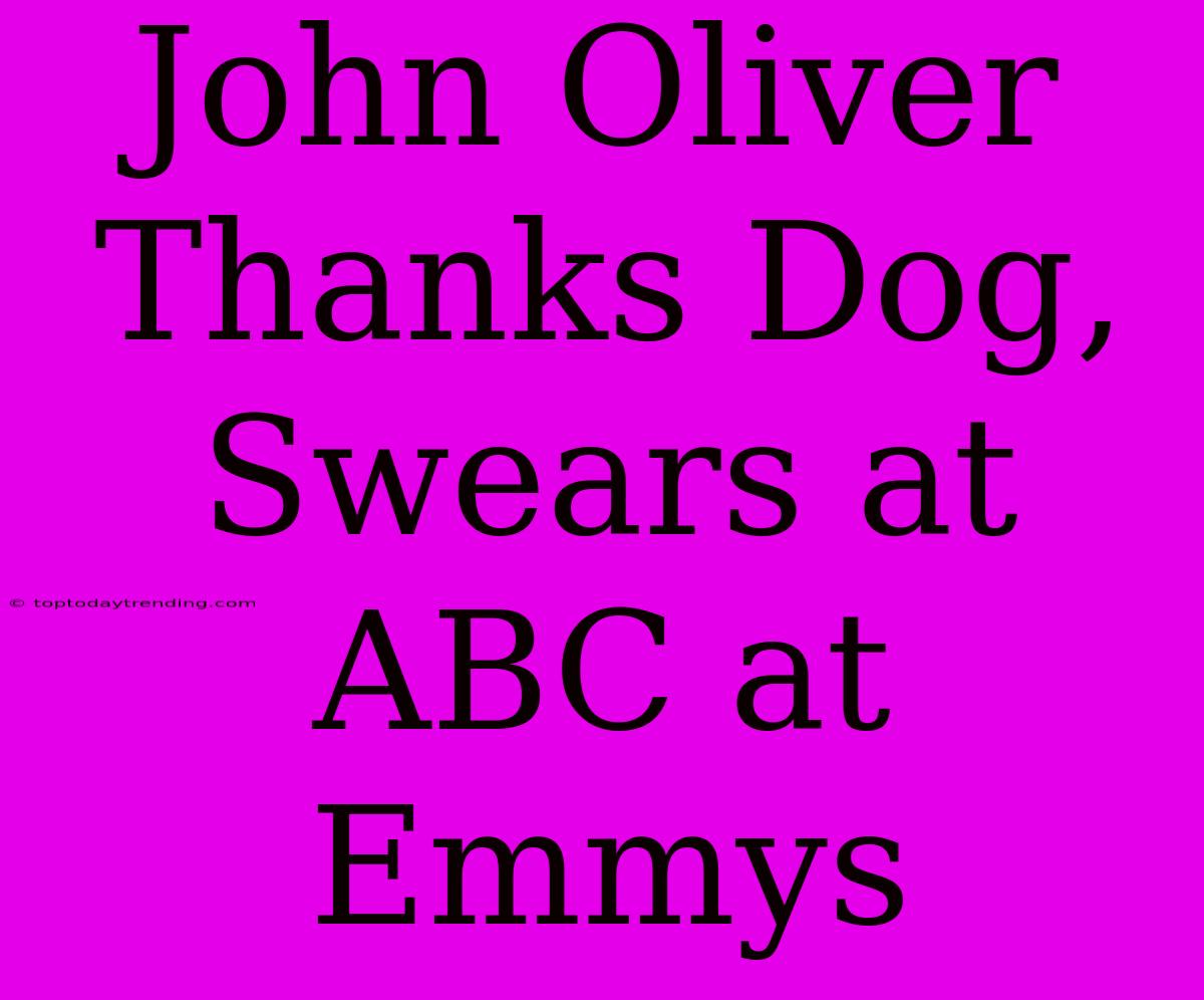 John Oliver Thanks Dog, Swears At ABC At Emmys