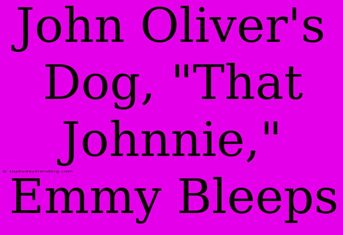 John Oliver's Dog, 