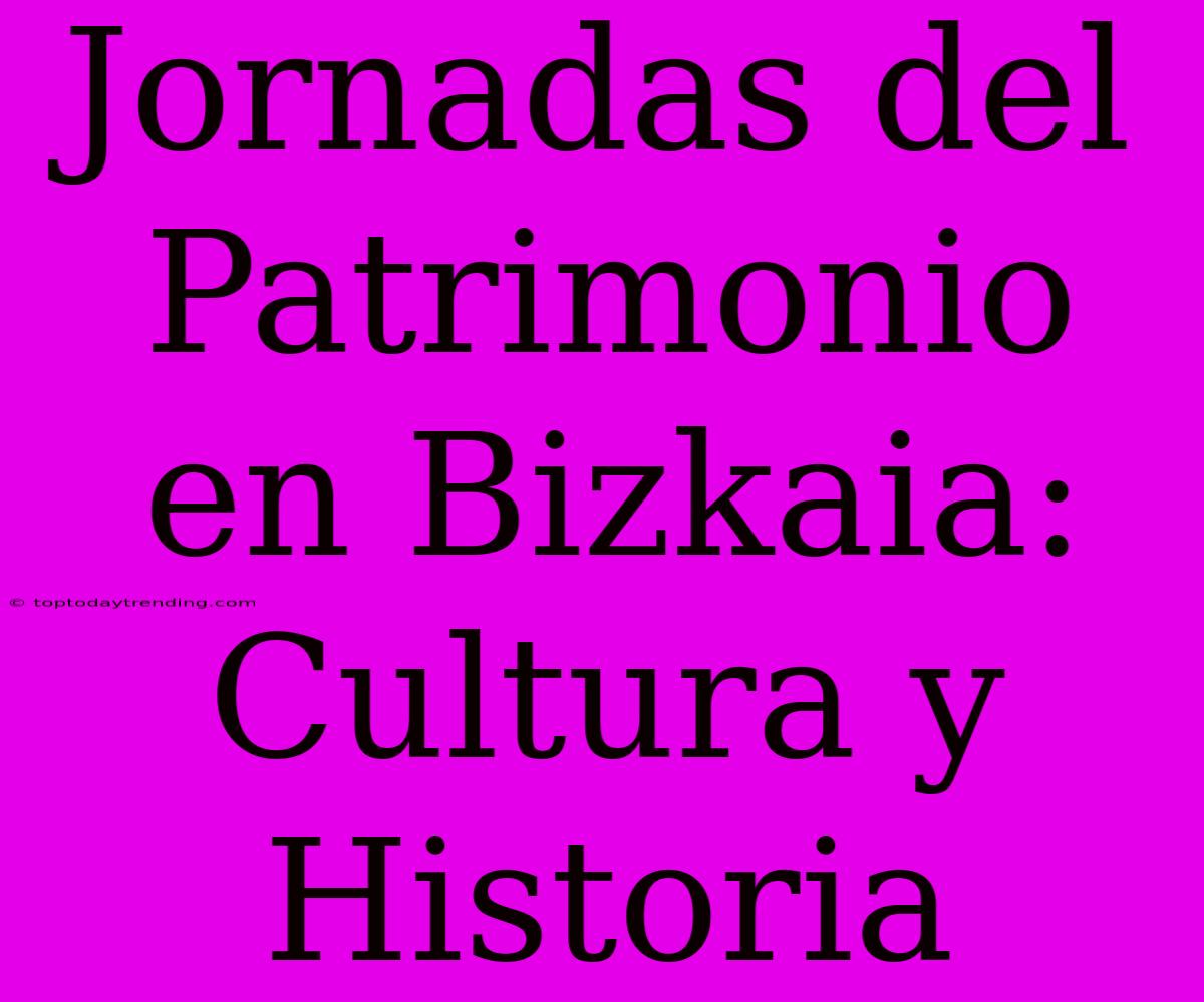 Jornadas Del Patrimonio En Bizkaia: Cultura Y Historia