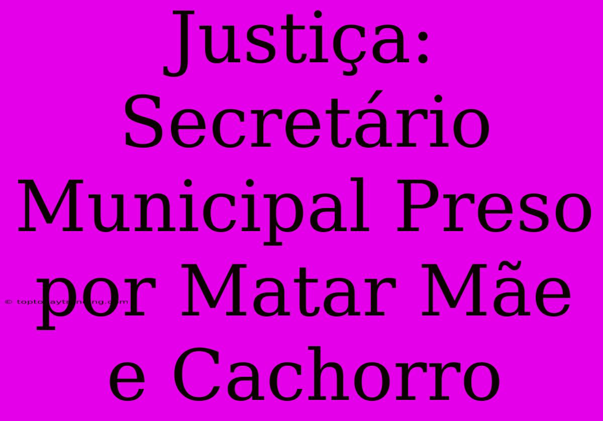 Justiça: Secretário Municipal Preso Por Matar Mãe E Cachorro