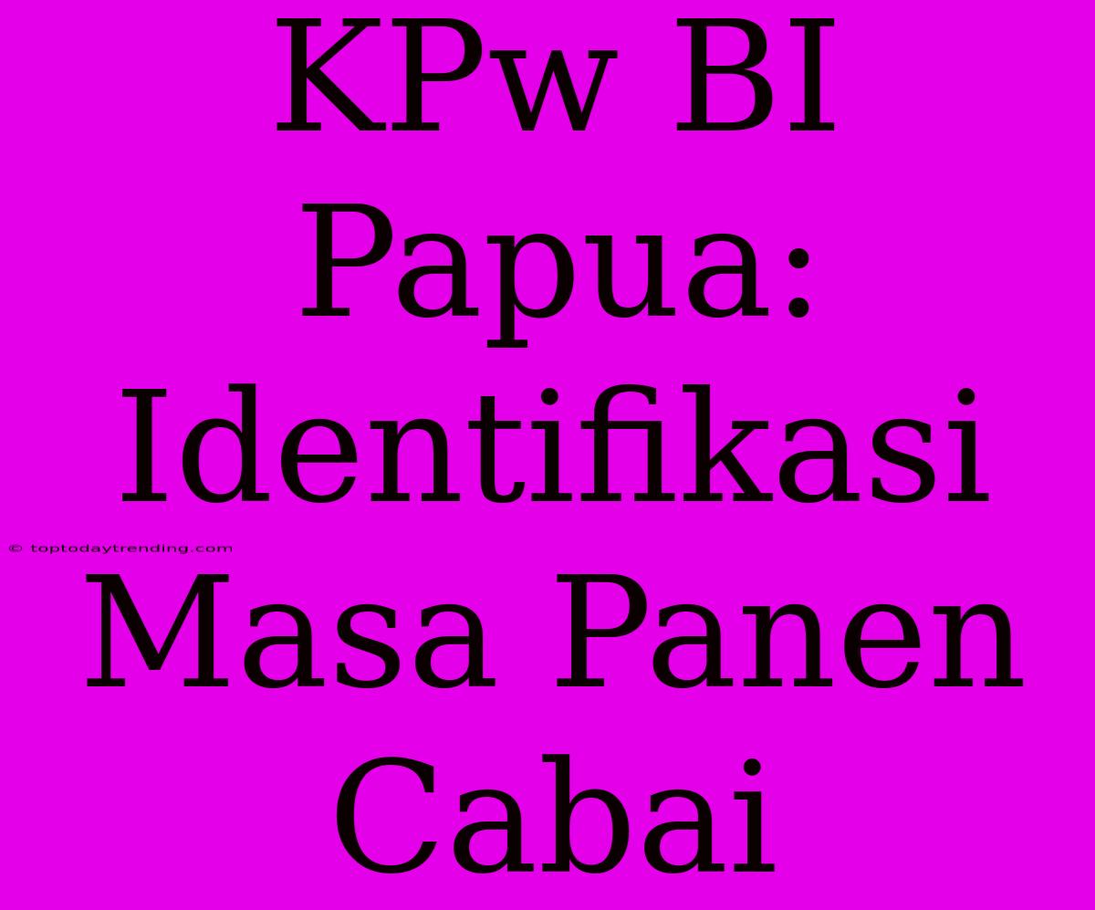 KPw BI Papua: Identifikasi Masa Panen Cabai