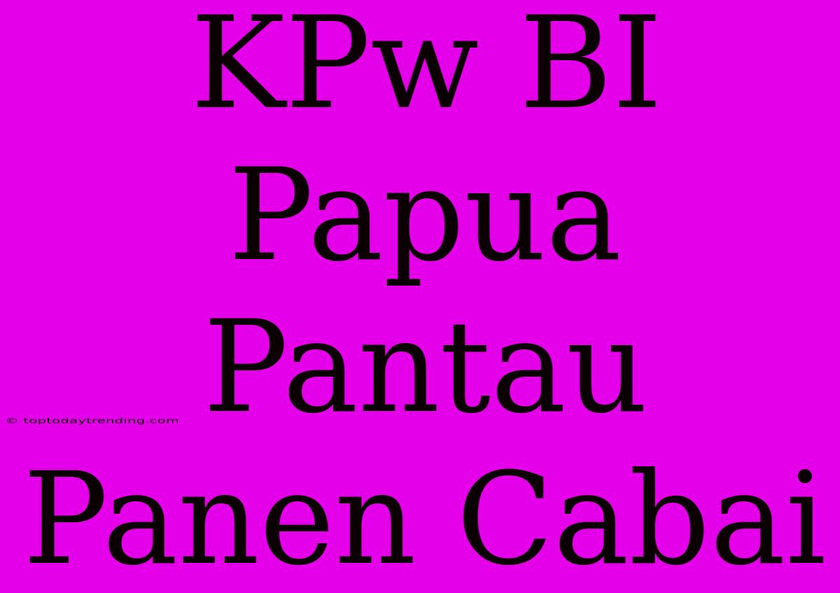 KPw BI Papua Pantau Panen Cabai