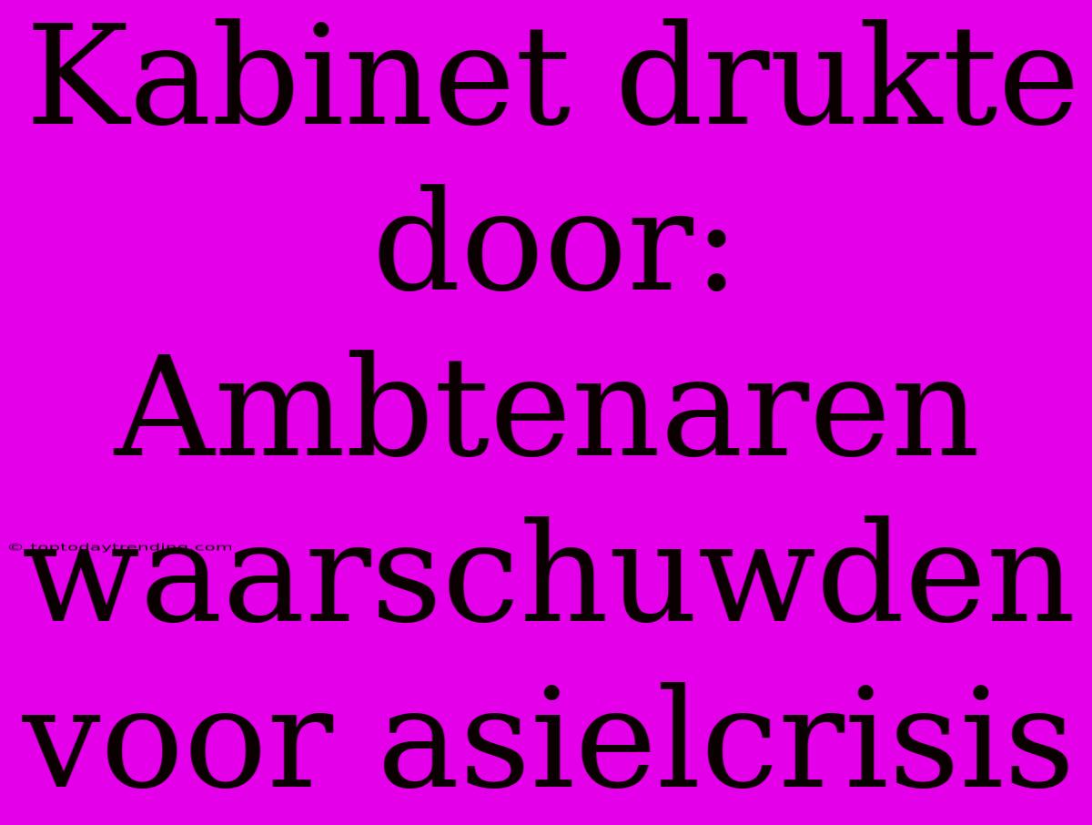 Kabinet Drukte Door: Ambtenaren Waarschuwden Voor Asielcrisis